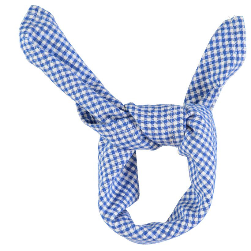 Bandana |  Blue Little Checkered