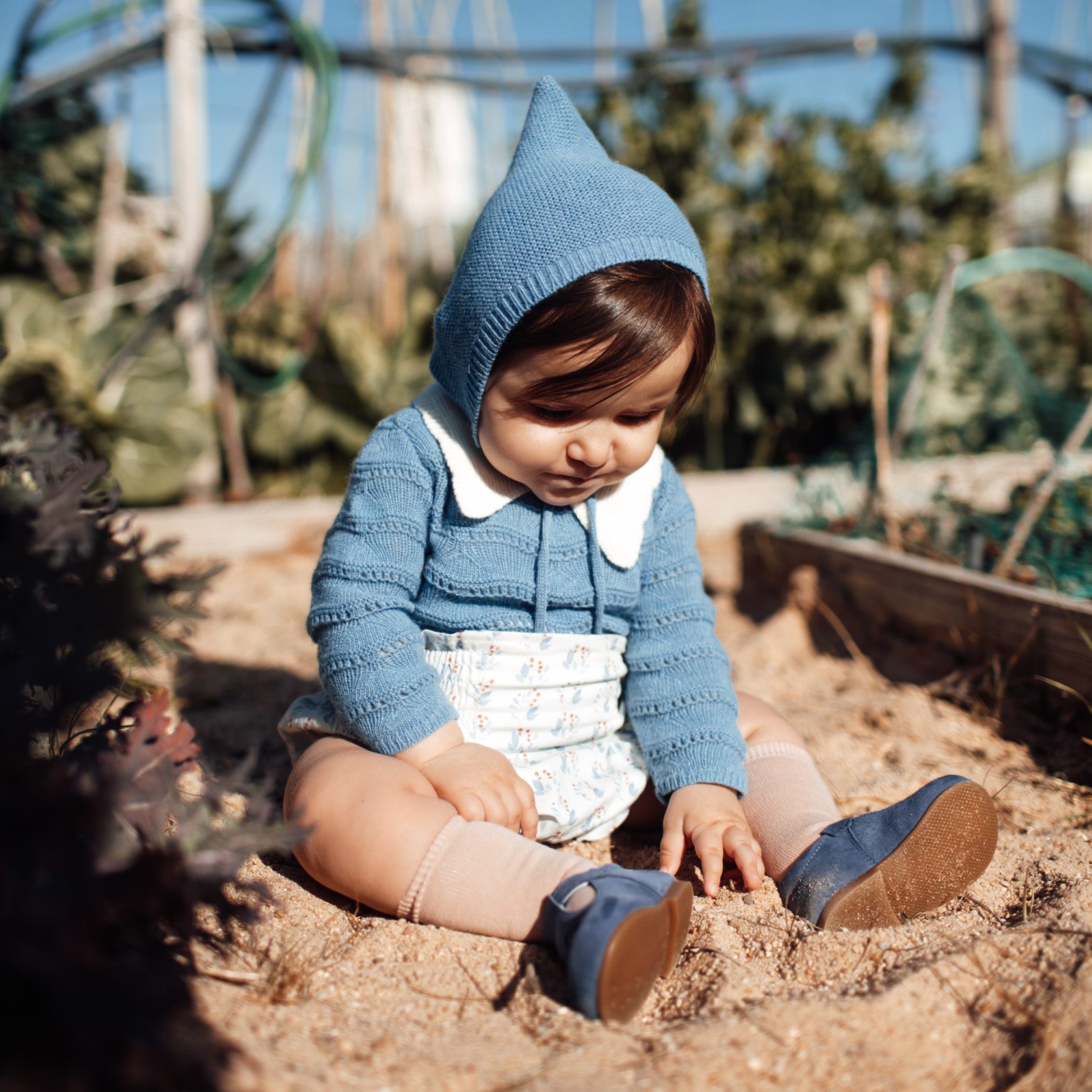 Siembra High Bloomer