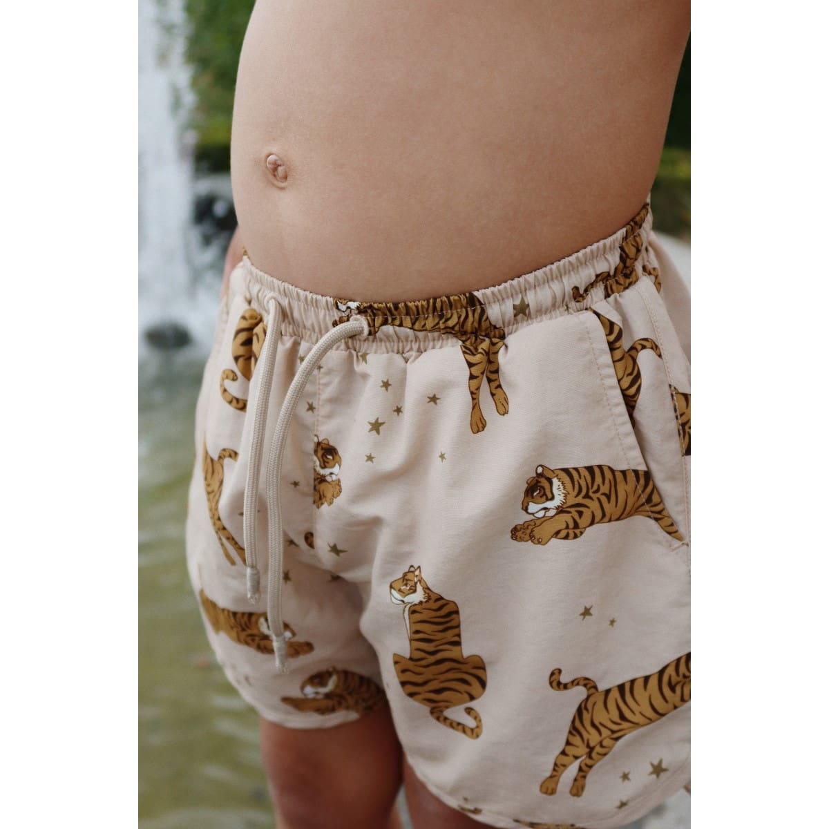 Asnou Swim Shorts | Tiger