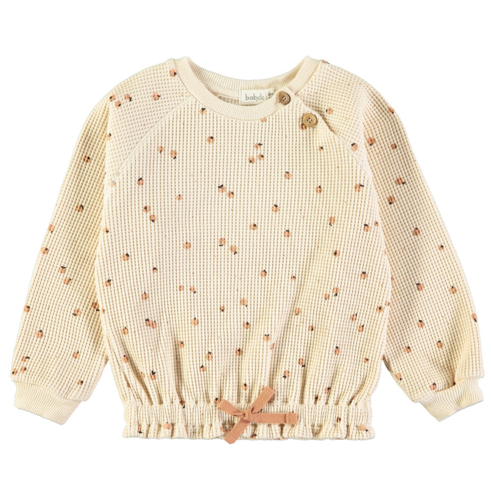 Little Fruits Cinnamon Sweatshirt