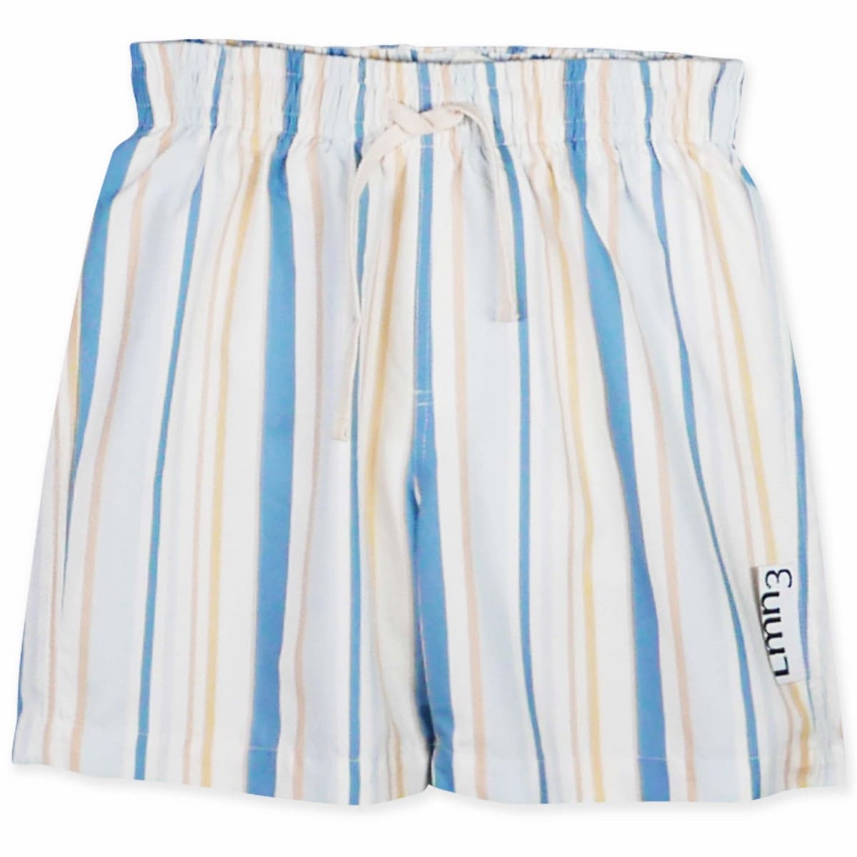 Swim Shorts | Stripes Print