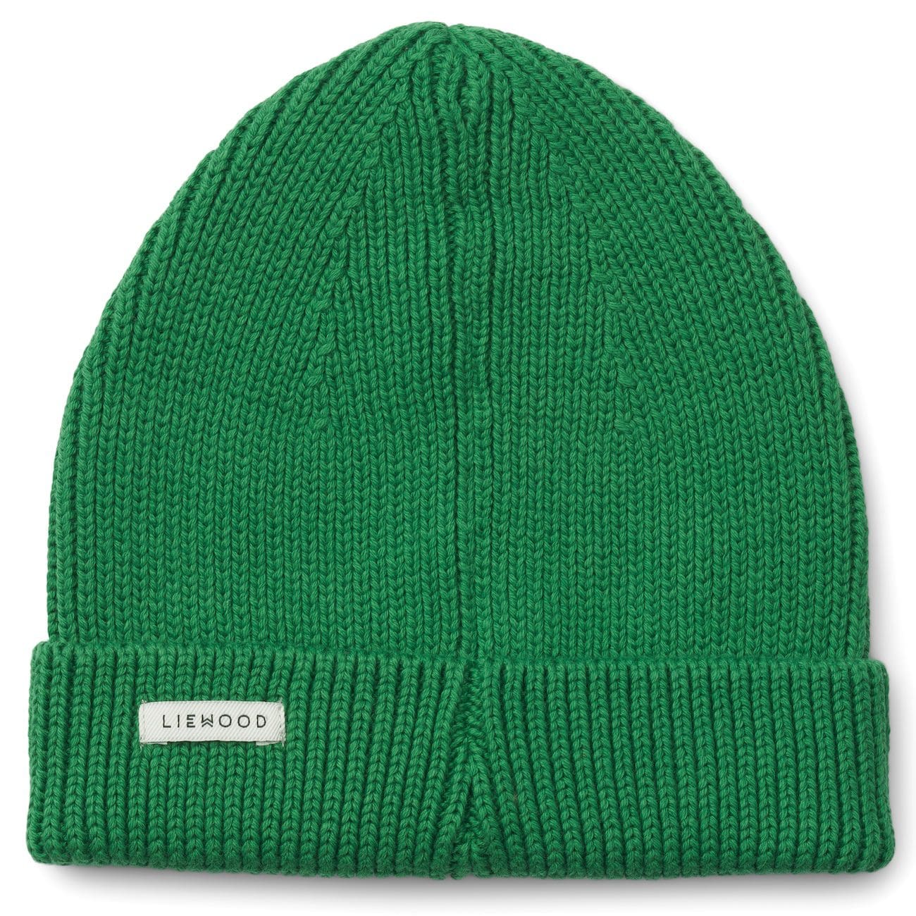 Ezra Cotton Rib Beanie | Amazon Grass
