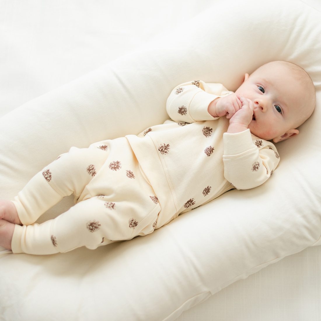 Sweatshirt & Jogger Set | Oatmeal Pinecone