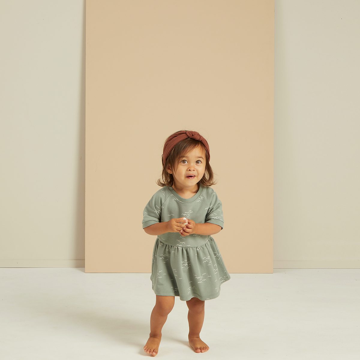 Raglan Dress Flock