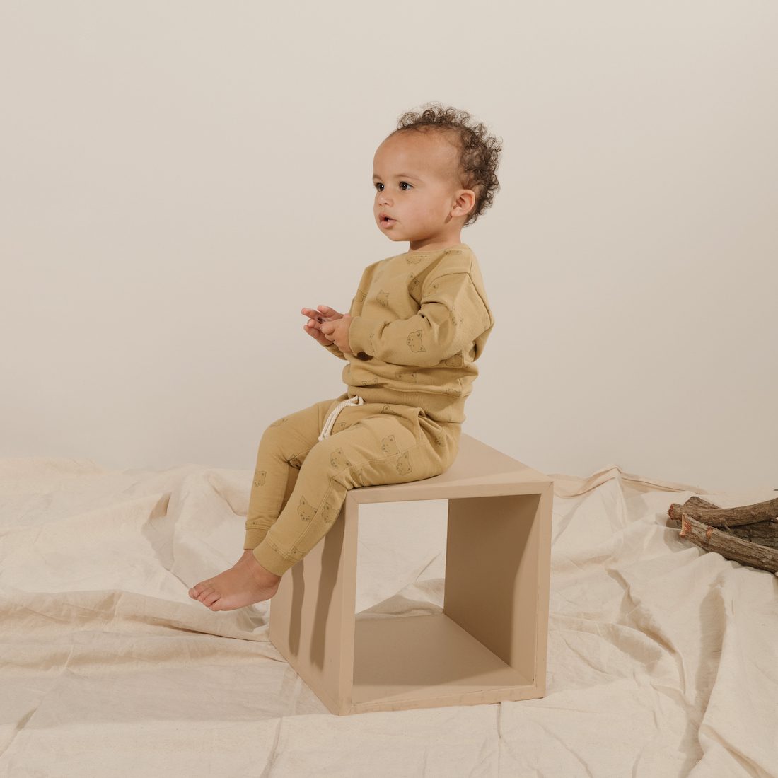 Coyote Sweatshirt & Sweatpants