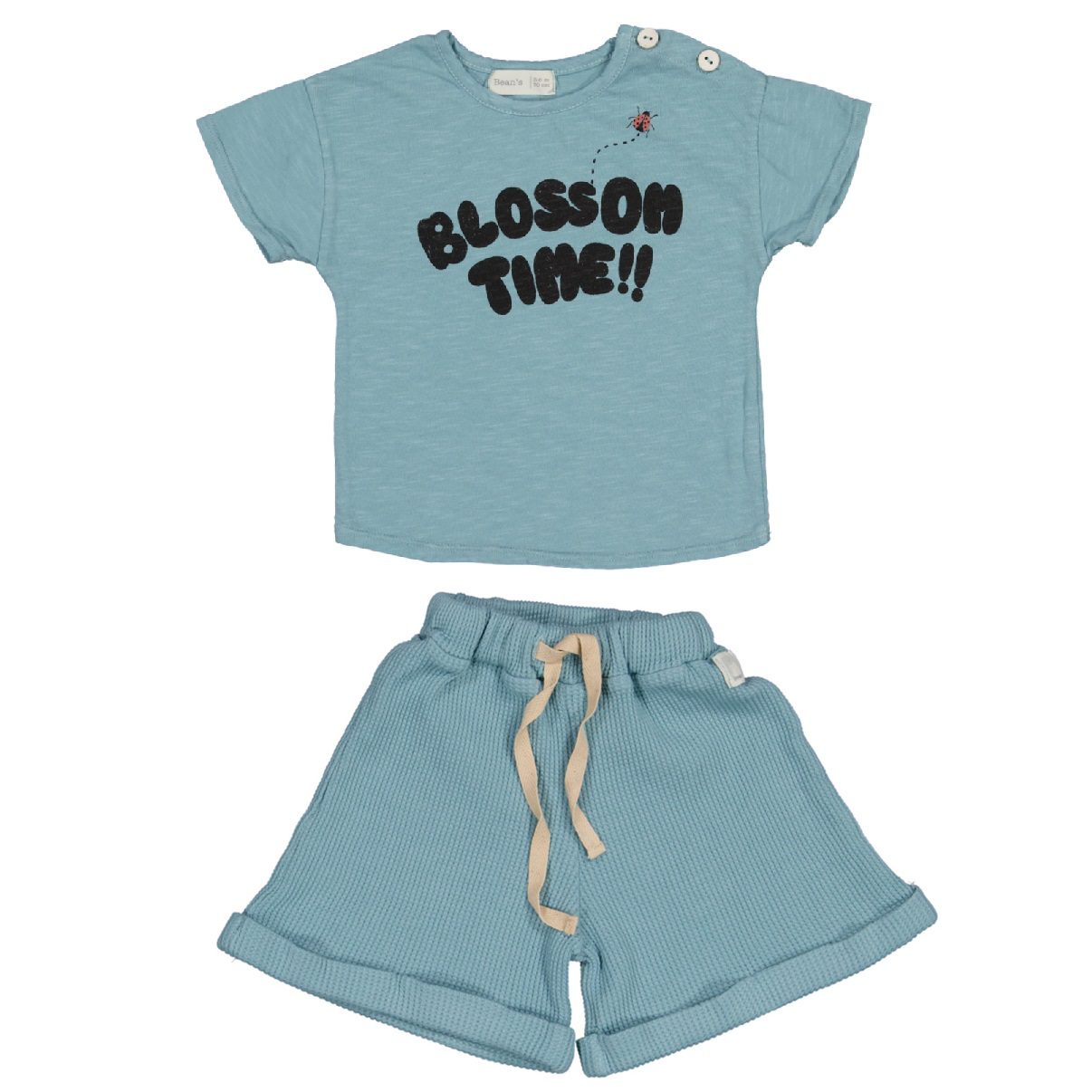 Sea Green Blossom Time Tee & Shorts