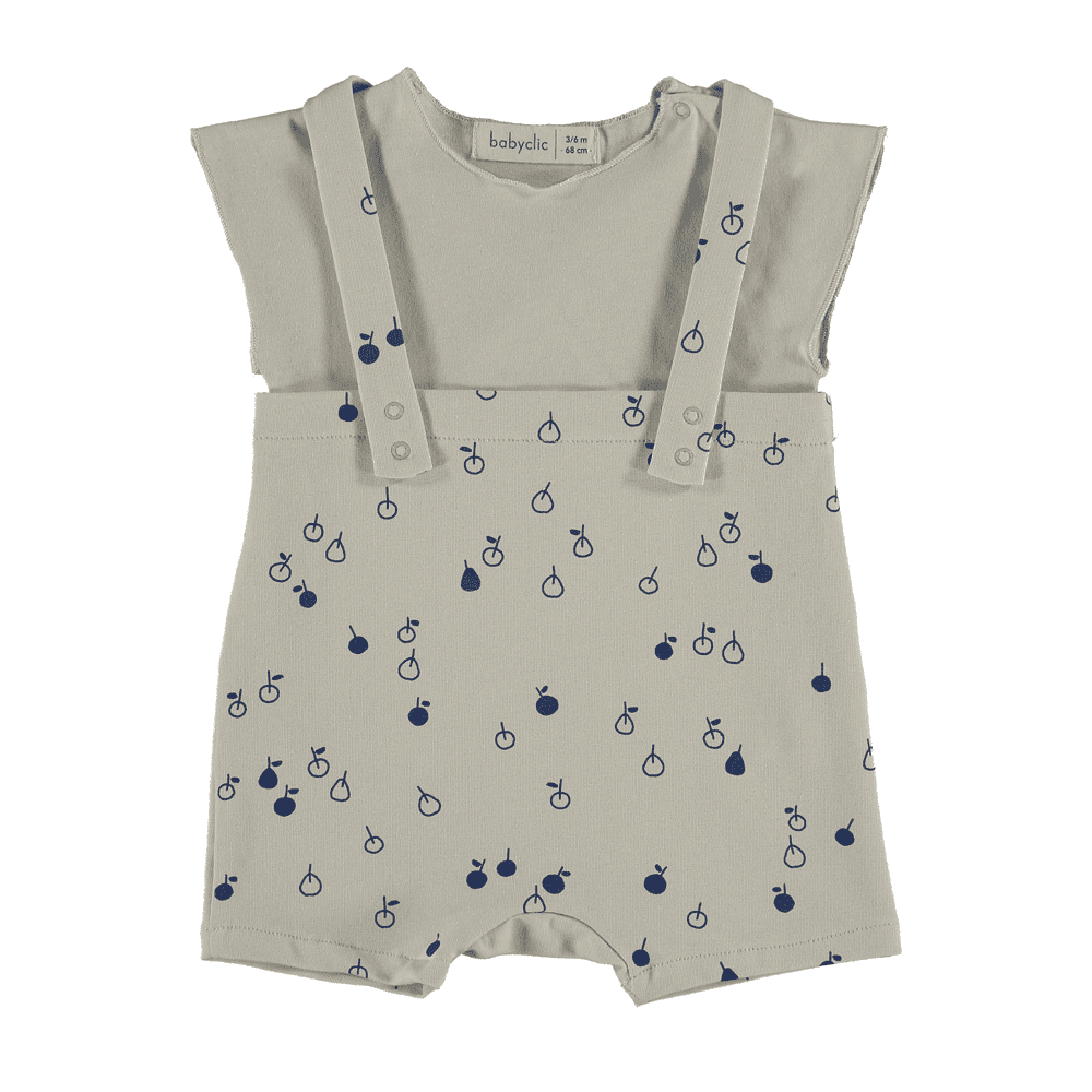 Salopette & Tshirt Apple Klein