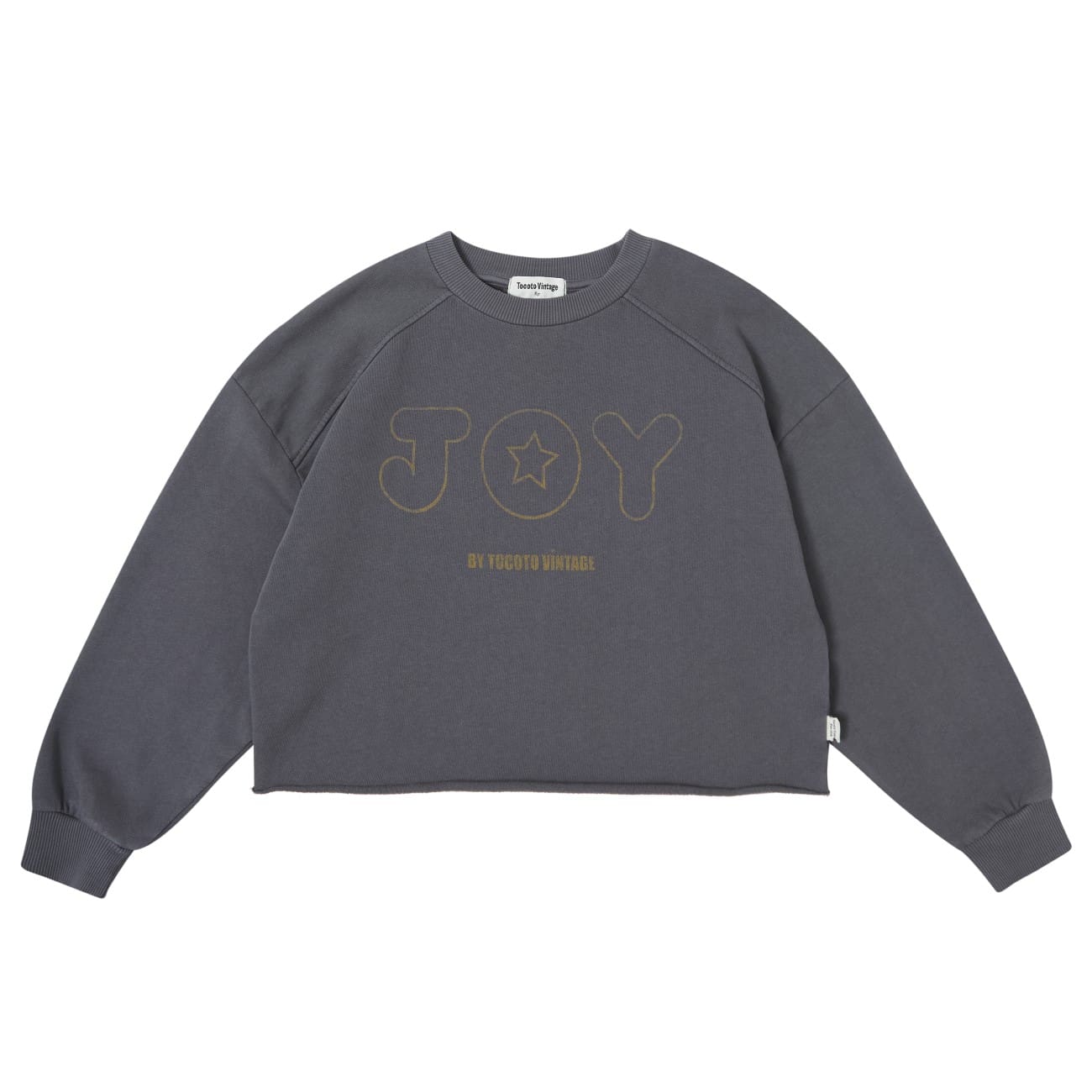 Joy Oversized Sweatshirt