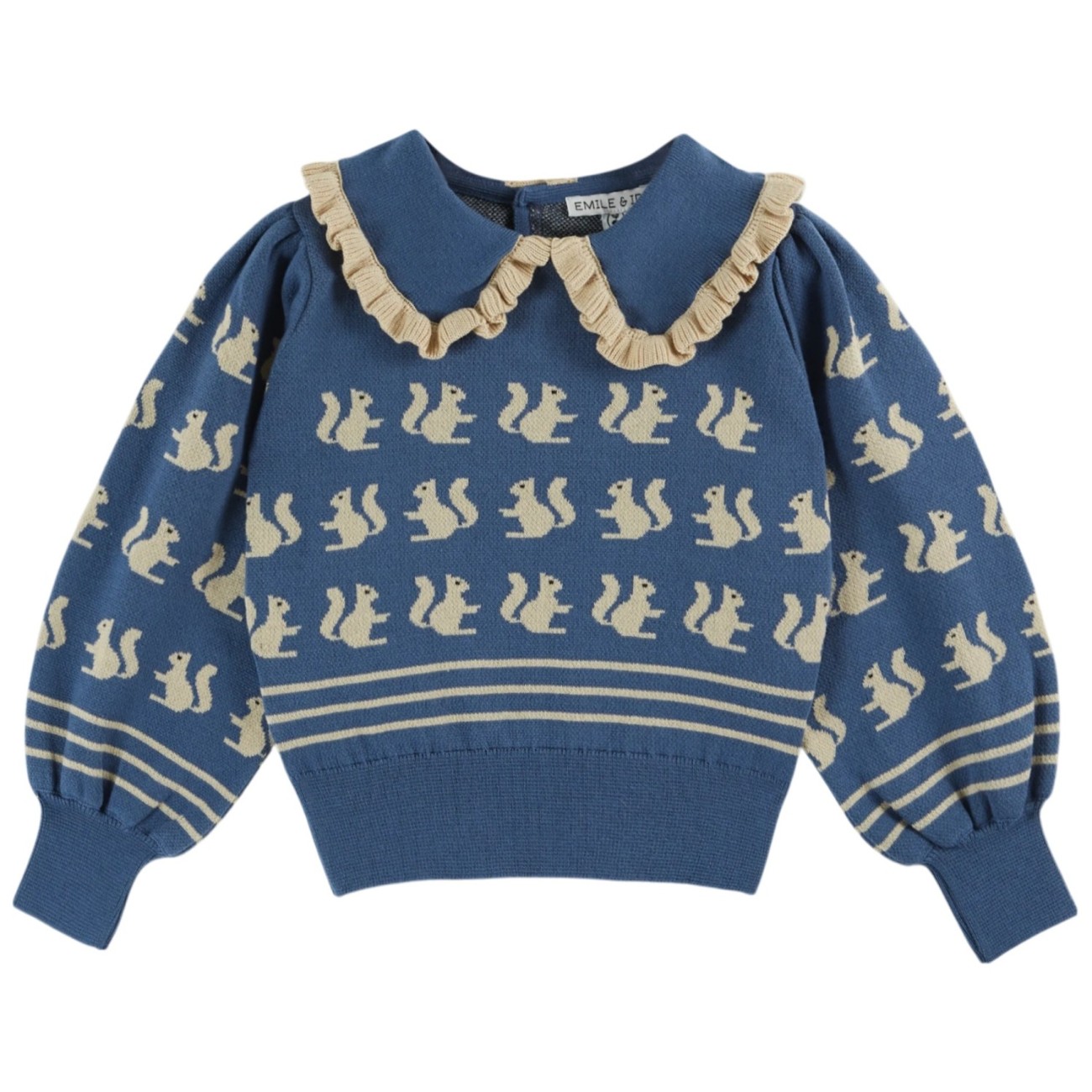 Blue Squirrel Sweater