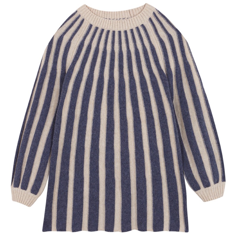 Navy Stripes Knit Dress