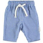 Trousers | Blue Little Checkered