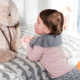 Blush Merino Jumper Pack