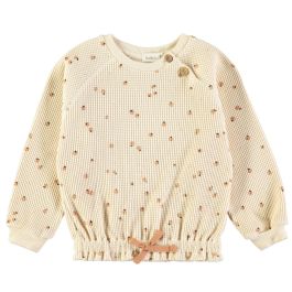 Little Fruits Cinnamon Sweatshirt
