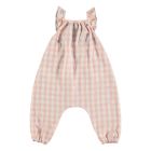 Market Collection Overall