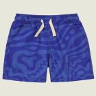Rapture Swim Shorts