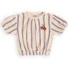 Stripes Blue Puffed Sleeves Top W/ Embroidery