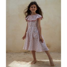Gingham & Flower Dress W/ Frilled Colar