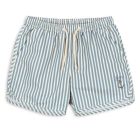 Asnou Swim Shorts | Sailor Stripe