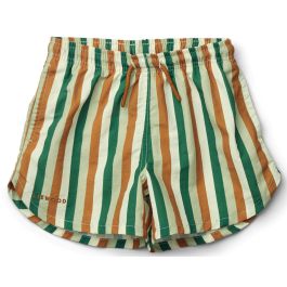 Aiden Board Short | Stripe: Dusty Mint Multi Mix