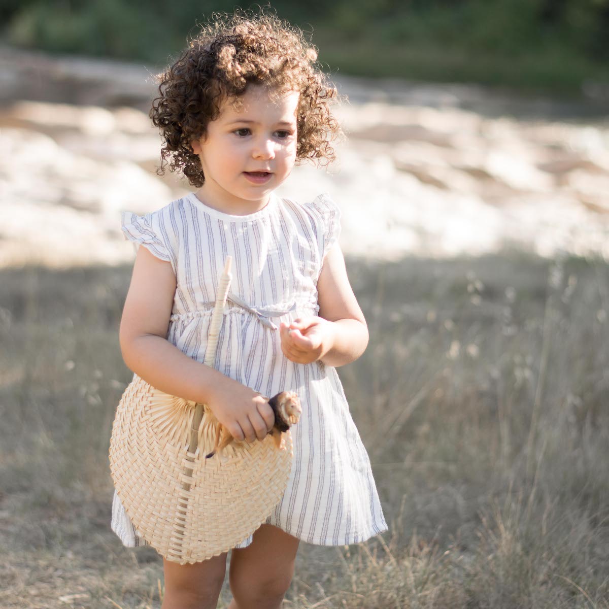 Salmon Stripes Dress